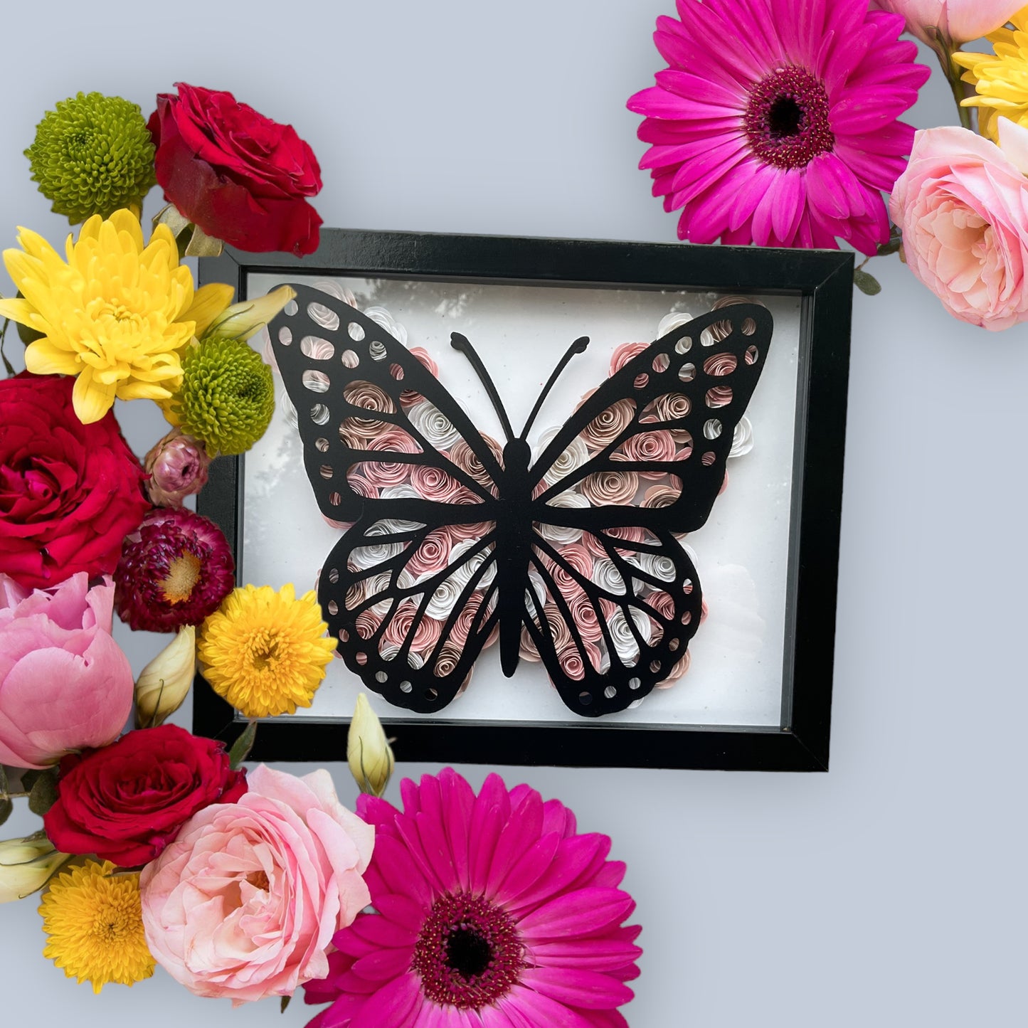 Pink/white ombre butterfly shadow box