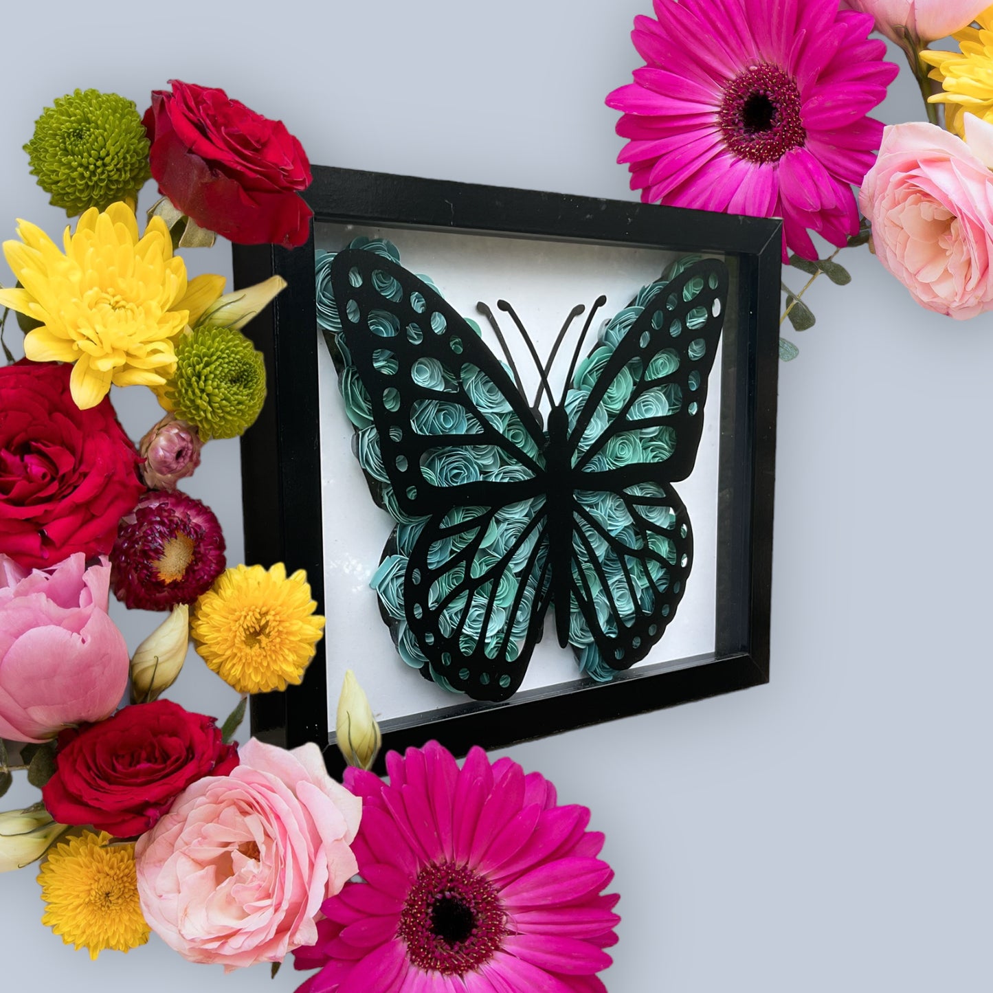 Blue ombre butterfly shadow box